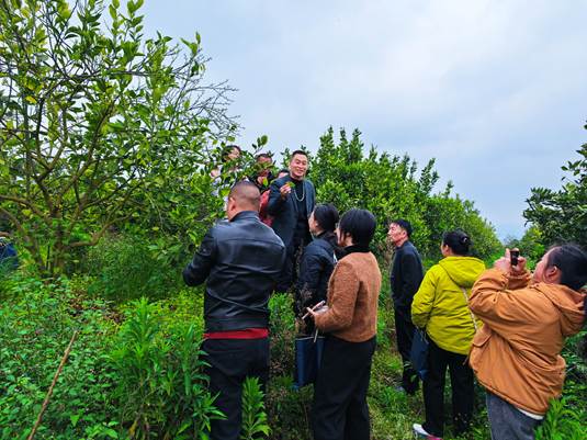 5ab5fd7f624afe86d875c5007108d770