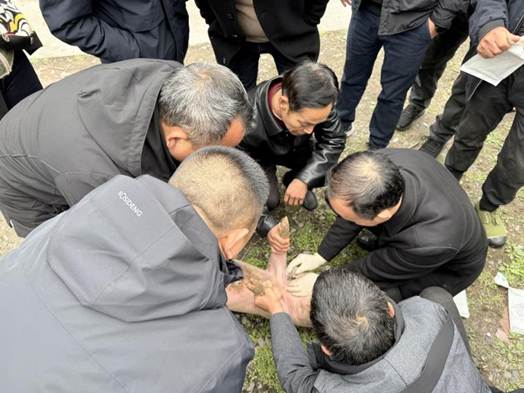 e861616f5219147bdfa1c4dab9fe3c51