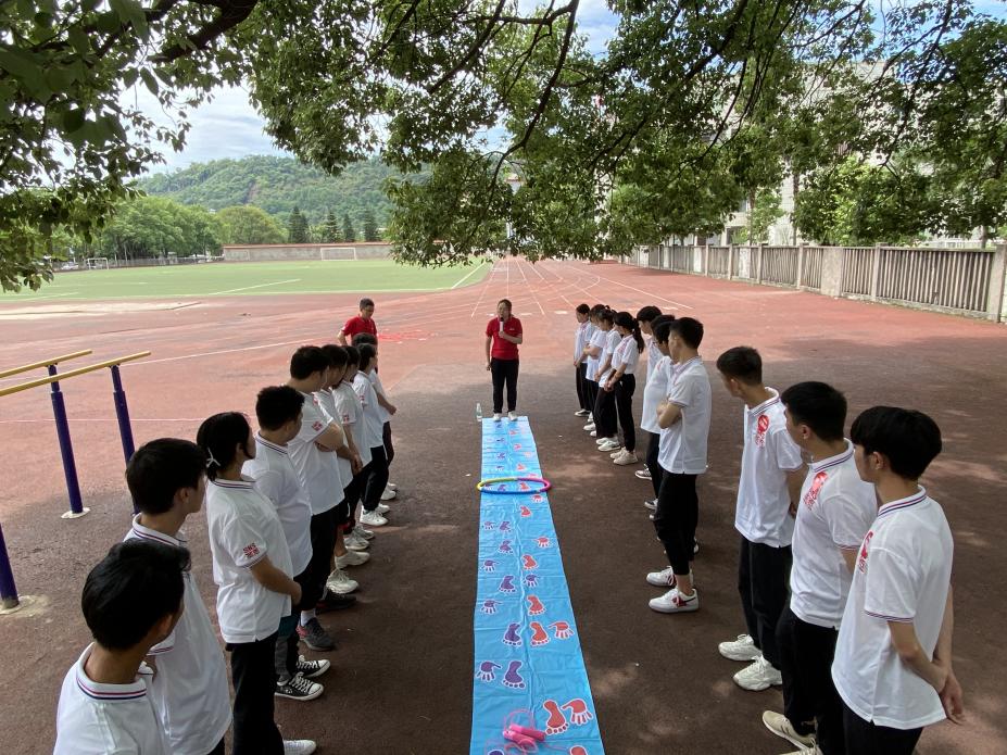 2e55fc3f53d27732a72a3bbf0804a31